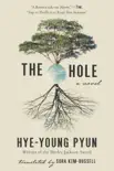 The Hole synopsis, comments