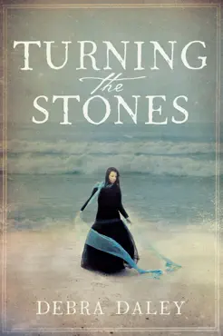 turning the stones book cover image