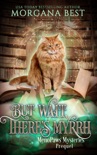 But Wait, There’s Myrrh book summary, reviews and download