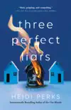 Three Perfect Liars synopsis, comments