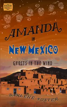 amanda in new mexico book cover image