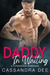 Daddy In Waiting synopsis, comments