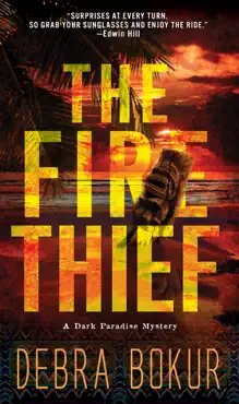 the fire thief book cover image