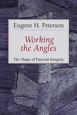 working the angles book cover image
