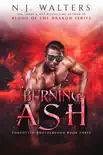 Burning Ash synopsis, comments