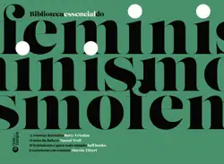 box biblioteca essencial do feminismo book cover image