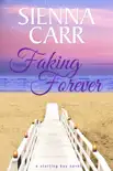 From Faking to Forever synopsis, comments