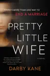 Pretty Little Wife synopsis, comments