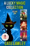 A Lucky Magic Collection: Magic and Mayhem Universe sinopsis y comentarios