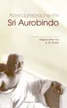 Abendgespräche mit Sri Aurobindo sinopsis y comentarios