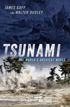 tsunami book cover image
