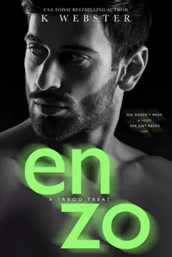 enzo book cover image