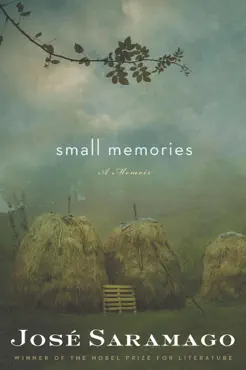 small memories book cover image