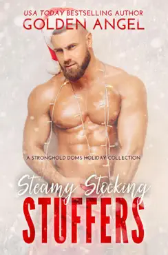 steamy stocking stuffers book cover image