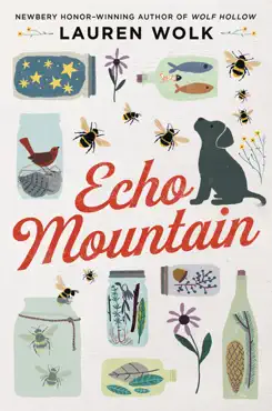 echo mountain book cover image