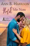 Hold Me Now synopsis, comments