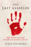 The Last Assassin sinopsis y comentarios
