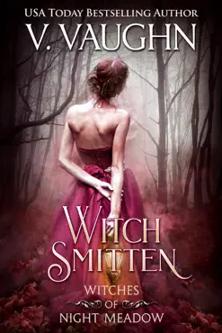 witch smitten book cover image