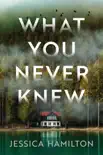 What You Never Knew synopsis, comments