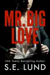 Mr. Big Love sinopsis y comentarios