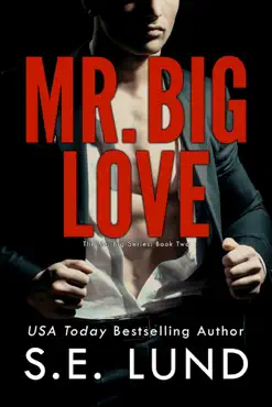 mr. big love book cover image