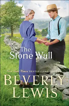 stone wall book cover image