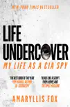 Life Undercover sinopsis y comentarios