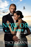 Now or Never book summary, reviews and download