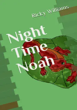 night time noah book cover image