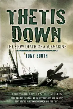 thetis down book cover image