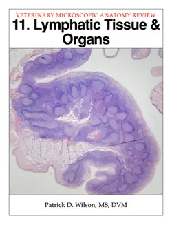 lymphatic tissue & organs book cover image