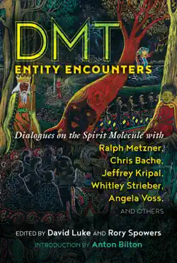 dmt entity encounters book cover image