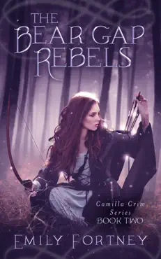 the bear gap rebels book cover image
