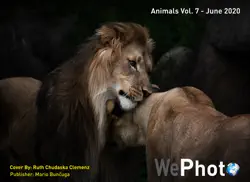 wephoto animals vol 7 book cover image