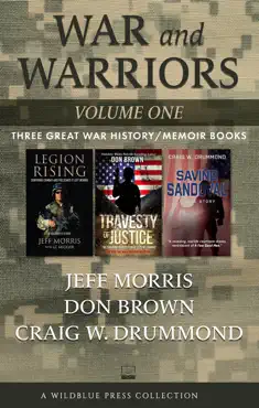war and warriors volume one book cover image