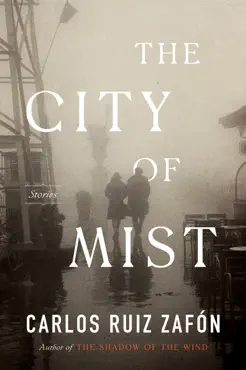 the city of mist book cover image