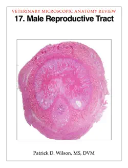male reproductive tract book cover image