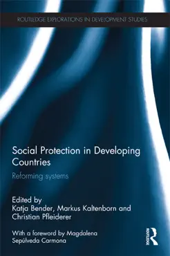 social protection in developing countries book cover image