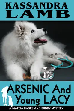 arsenic and young lacy book cover image