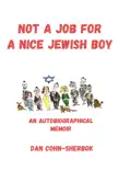 Not a Job for a Nice Jewish Boy synopsis, comments