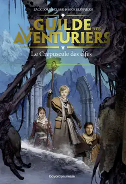 la guilde des aventuriers, tome 02 book cover image