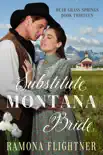 Substitute Montana Bride synopsis, comments
