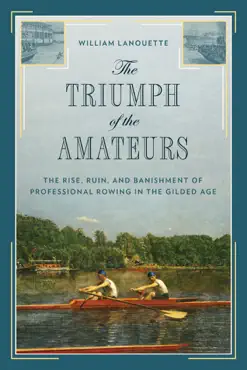 the triumph of the amateurs book cover image