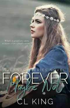 forever maybe not book cover image