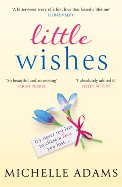 little wishes imagen de la portada del libro