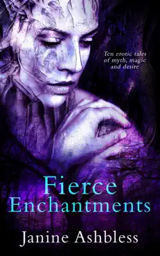 fierce enchantments book cover image