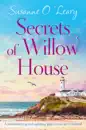 Secrets of Willow House