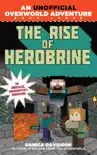 The Rise of Herobrine synopsis, comments