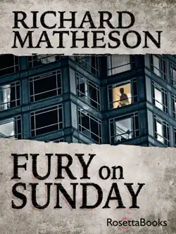 fury on sunday book cover image