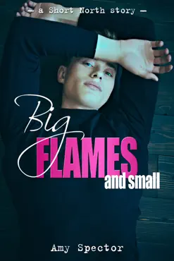 big flames and small imagen de la portada del libro